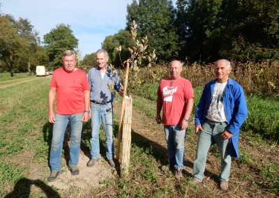 Auspflanzung alter Obstsorten in Absberg